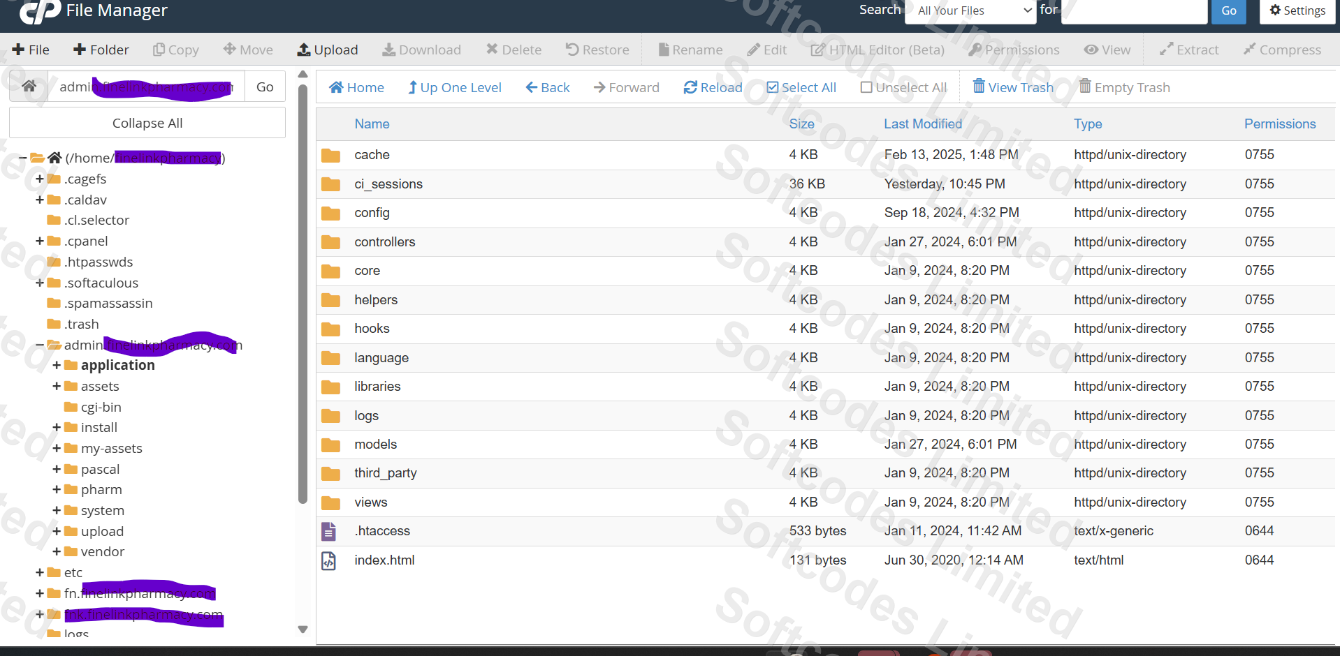 Web Hosting Services